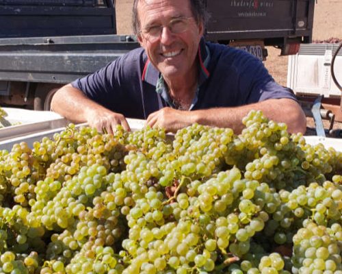 hew and his grapes